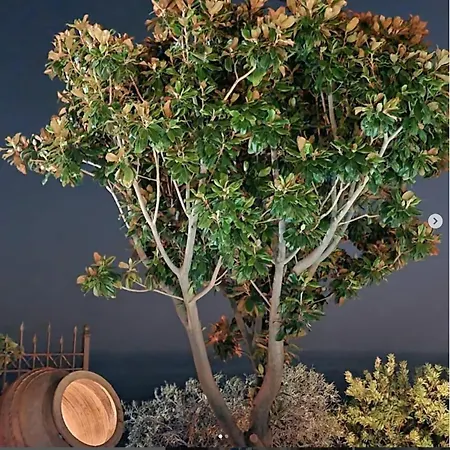 Stone House 1883 Kymi With Pool