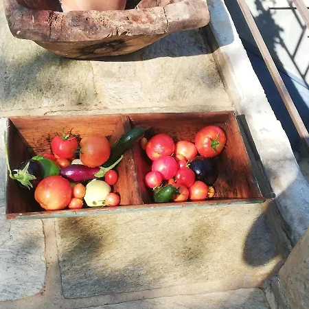 Villa Stone House 1883 Kymi With Pool Enoria